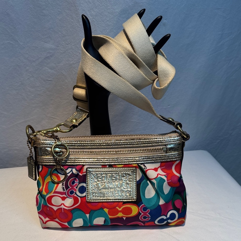 Coach Multicolor Crossbody Bag with Silver Details - Picture 1 of 14
